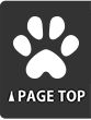 ↑PAGE TOP