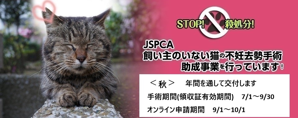 飼い主のいない猫の不妊去勢手術助成事業申請、2026年