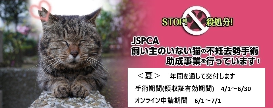 飼い主のいない猫の不妊去勢手術助成事業申請、2026年