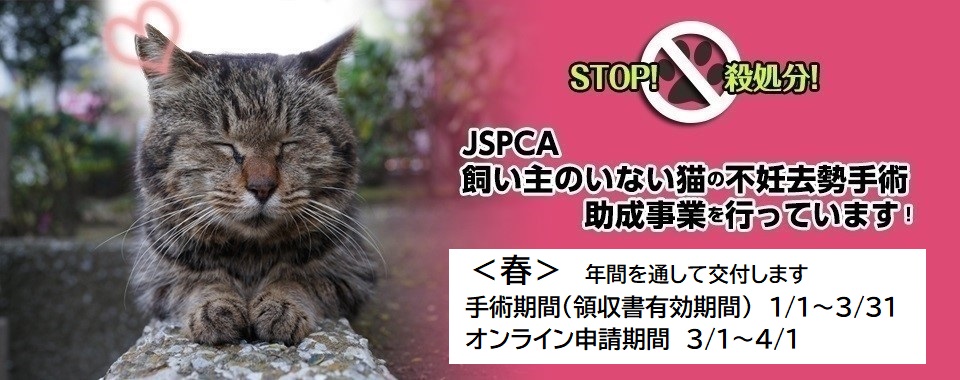 飼い主のいない猫の不妊去勢手術助成事業申請、2025年秋終了しました