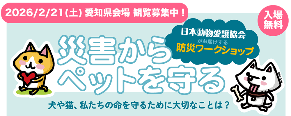 日本動物愛護協会 防災イベント