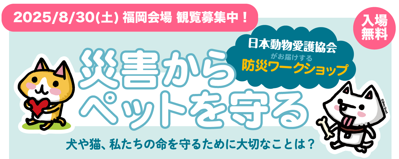 日本動物愛護協会　防災スライド