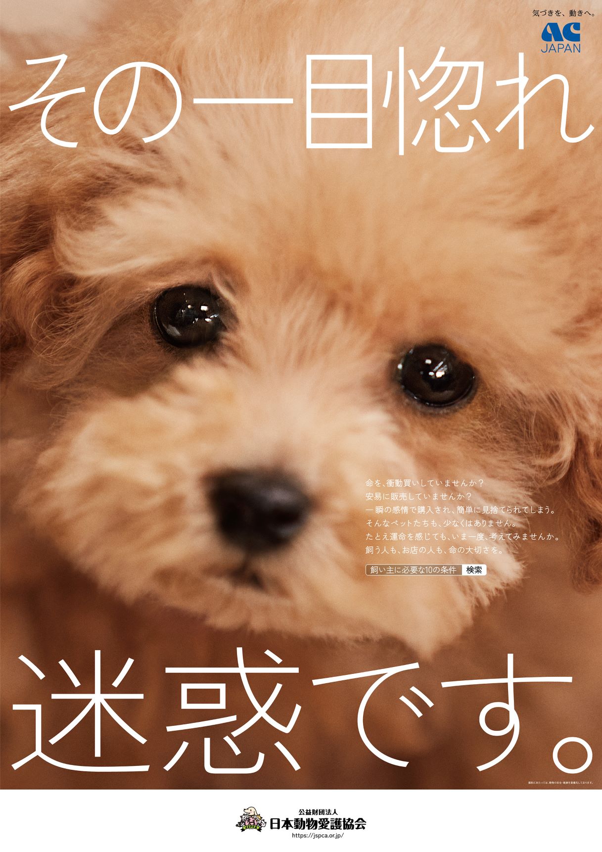 Wanderland Jspca 世界一ゆるい 犬飼育のマナー動画 公益財団法人 日本動物愛護協会