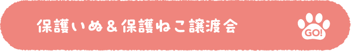 保護いぬ＆保護ねこ譲渡会